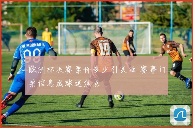 欧洲杯决赛票价多少引关注 赛事门票信息成球迷焦点