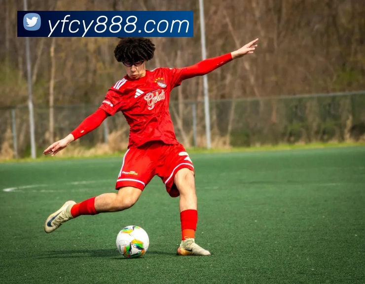 世界杯官方端网站登录入口 - 世界杯shijiebei(中国)发展历程